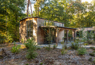 Kleines Holzhaus namens Tiny Borg im Grünen, gelegen im Vakantiepark De Wiltzangh in den Niederlanden.