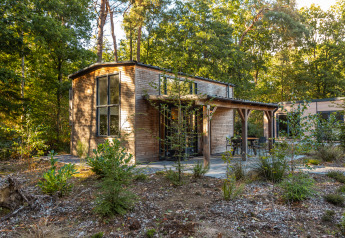 Casa pequeña llamada Tiny Borg en un entorno arbolado del Vakantiepark De Wiltzangh, Países Bajos.