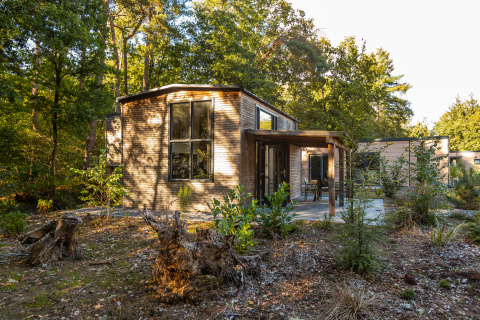 Tiny Borg, una tiny house moderna al Vakantiepark De Wiltzangh nei Paesi Bassi, immersa nel verde bosco.