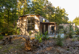 Tiny Borg, una tiny house moderna en Vakantiepark De Wiltzangh, Países Bajos, rodeada de bosque natural.