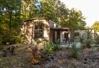 Tiny Borg, a modern tiny house at Vakantiepark De Wiltzangh, Netherlands, nestled in a sunlit forest.