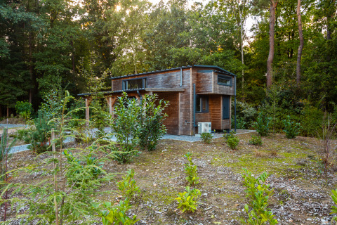 Casa pequeña moderna llamada Tiny Borg en Vakantiepark De Wiltzangh, Países Bajos, rodeada de vegetación y bosque.