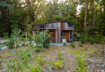 Moderne tiny house kaldet Tiny Borg i skovomgivelser på Vakantiepark De Wiltzangh, Holland, omgivet af grønne planter.