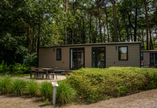 Ekstra luksus stacaravan på Familiepark Goolderheide i Belgien omgivet af skovtræer og havemøbler.