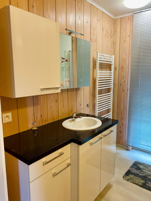 Badezimmer im Chalet im Familiepark Goolderheide, Belgien, mit Holzverkleidung und moderner Spüle.