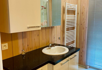 Baño en un chalet del Familiepark Goolderheide, Bélgica, con paneles de madera y lavabo moderno.