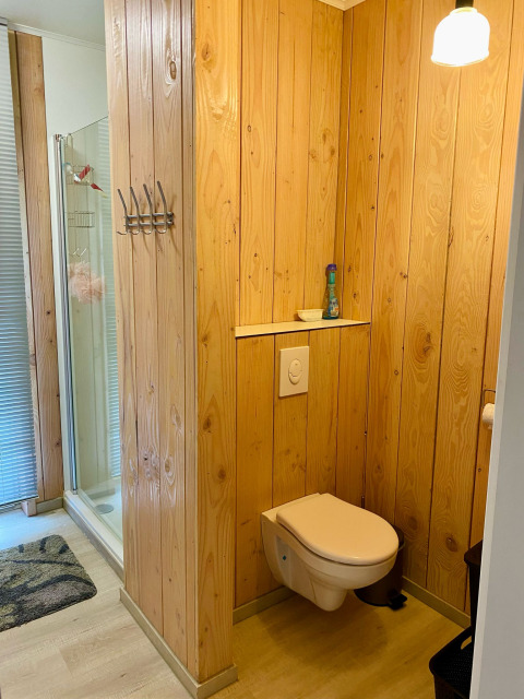 Salle de bain d'un chalet avec murs en bois, toilettes suspendues et douche à Familiepark Goolderheide.