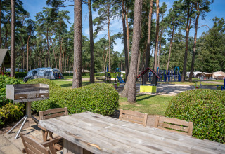 Vista dalla Hobbit huisje al Familiepark Goolderheide, Belgio, con parco giochi, tavolo e pini.