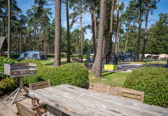 View from the Hobbit huisje at Familiepark Goolderheide, Belgium with playground, picnic table and pine trees.