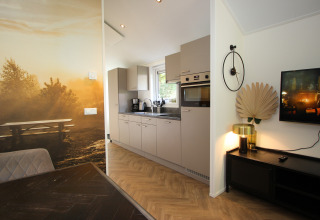 Moderne lodgekeuken in Velthorst Hottub bij EuroParcs Ruinen, Nederland, met sfeervolle inrichting.