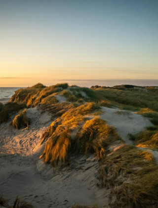 Sunset over sandy dunes and grassy beach near Roslev, Denmark, with warm light illuminating the scene.