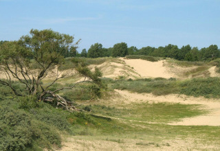 Nature surroundings - Kompas Camping Westende - Middelkerke, West Flanders, Belgium