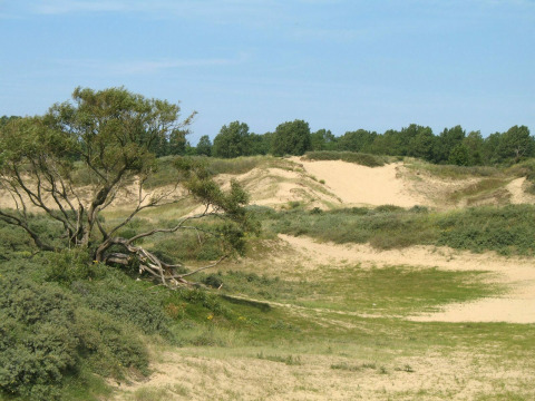 Natura circostante - Kompas Camping Westende - Middelkerke, Fiandre Occidentali, Belgio