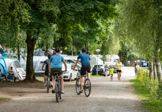 Radfahren auf dem Campingplatz - Camping Petit Suisse - Manhay, Luxemburg, Belgien
