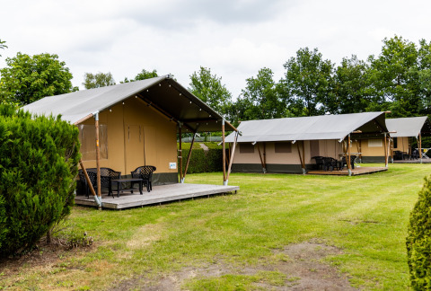 Campo con 2x tienda safari - De Tien Heugten - Schoonloo, Drenthe, Países Bajos