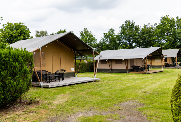 Feld mit 2x Safarizelt - De Tien Heugten - Schoonloo, Drenthe, Niederlande