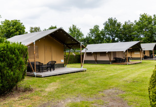Mark med 2x safaritelt - De Tien Heugten - Schoonloo, Drenthe, Holland