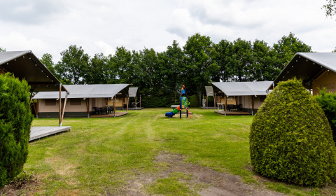 Field with 3x safari tent - De Tien Heugten - Schoonloo, Drenthe, Netherlands