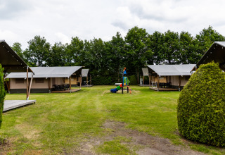 Veld met 3x safaritent - De Tien Heugten - Schoonloo, Drenthe, Nederland