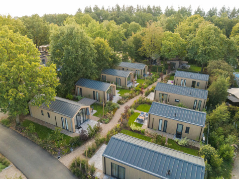 Vista aerea di moderne tiny house disposte in file, circondate da giardini verdi e alberi nella natura.