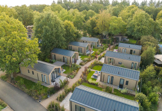 Luftfoto af moderne tiny houses anlagt i rækker med grønne haver og træer omkring i naturen.