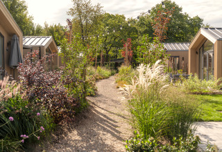 Sendero de grava entre modernas tiny houses, rodeado de plantas verdes y luces colgantes en el jardín.