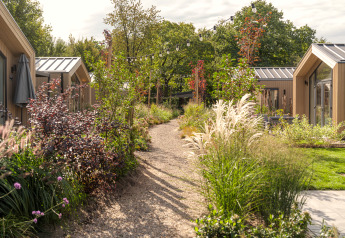 Ein schmaler Kiesweg zwischen modernen Tiny Houses, umgeben von grünen Pflanzen und Lampions.