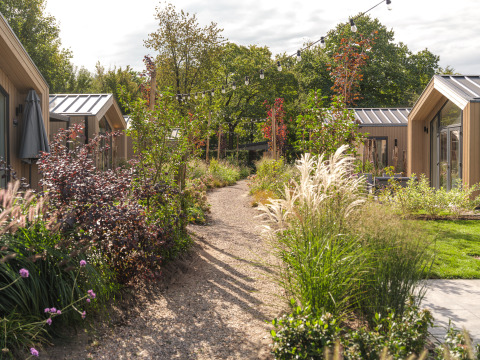 Sendero de grava entre modernas tiny houses, rodeado de plantas verdes y luces colgantes en el jardín.