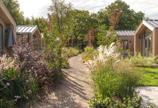 Sentiero di ghiaia tra tiny house moderne, circondato da piante verdi e luci sospese nel giardino.