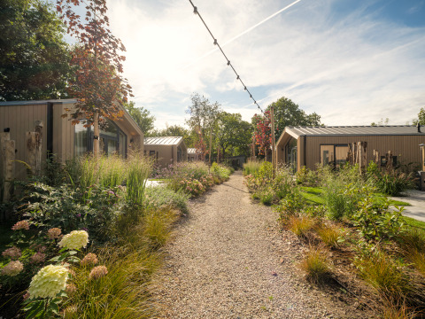 Sendero de grava entre casas pequeñas rodeadas de vegetación y flores bajo un cielo soleado.