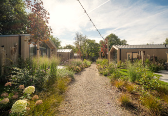 Kiesweg zwischen kleinen Häusern umgeben von üppigem Garten und Bäumen bei sonnigem Himmel.