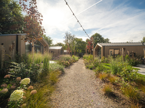 Sendero de grava entre casas pequeñas rodeadas de vegetación y flores bajo un cielo soleado.