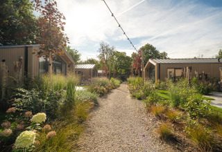 Sentiero ghiaioso tra tiny houses circondate da verde e fiori sotto un cielo luminoso e sereno.