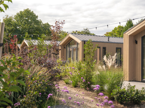 Moderne tiny houses på Veluwepark de Bosgraaf i Holland, omgivet af grønne planter og naturlig beplantning.