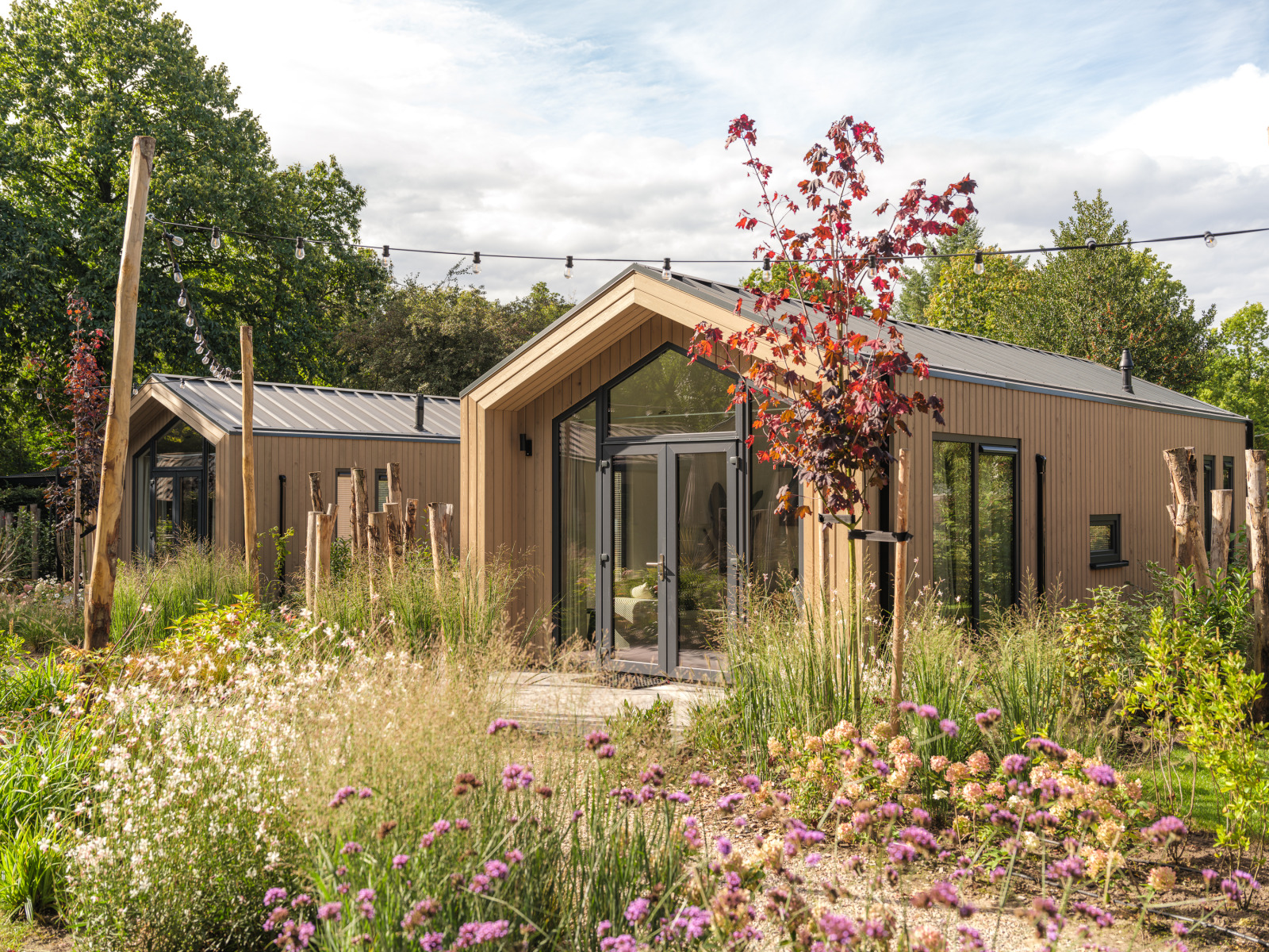 «Tiny Lodge»