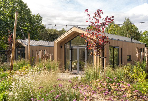 Tiny Lodge : Petite maison moderne en bois, entourée d’un jardin luxuriant et de fleurs sauvages colorées.