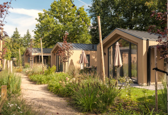 Gepflegter Weg entlang moderner Tiny Houses im Veluwepark de Bosgraaf, umgeben von Natur.