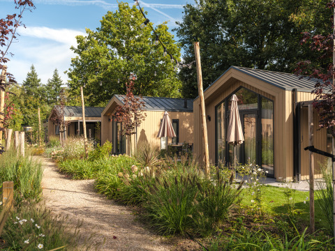 Allée bordée de petites maisons modernes à Veluwepark de Bosgraaf, entourée de verdure.