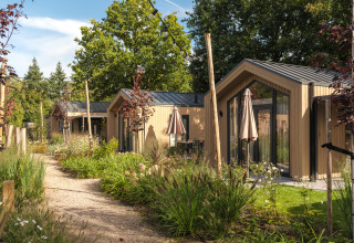 Sentiero tra tiny lodge moderne nel Veluwepark de Bosgraaf, circondato da piante e alberi.