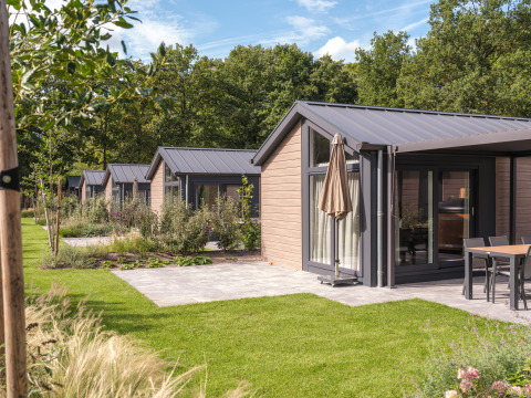 Lodge Doornenburg Comfort au Veluwepark de Bosgraaf, Pays-Bas, dotée d'une terrasse et d'un jardin verdoyant.