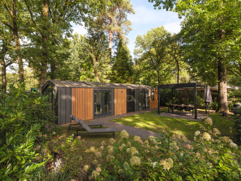 Modernes Cozy Chalet zwischen Bäumen mit Liegestuhl und überdachtem Essbereich in grüner Umgebung.