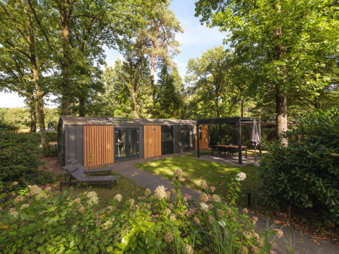 Hyggelig chalet i Veluwepark de Bosgraaf, Holland, omgivet af grønne træer og blomstrende buske.