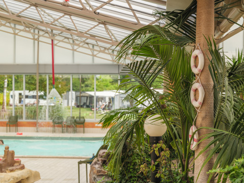 Indoor swimming pool with tropical plants and lifebuoys at Vakantiepark Ackersate, Gelderland, Netherlands.