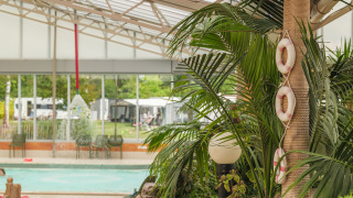 Innenpool mit tropischen Pflanzen und Rettungsringen im Vakantiepark Ackersate, Gelderland, Niederlande.