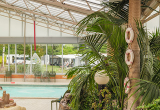Piscine intérieure avec plantes tropicales et bouées de sauvetage au Vakantiepark Ackersate, Gueldre.