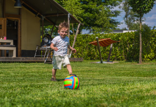 Young boy playing with colorful ball on grass at Villatent Cottage safari tent in Vakantiepark Ackersate.