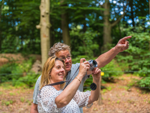 Couple takes photos in the forest at Vakantiepark Ackersate, Gelderland, Netherlands, enjoying nature.