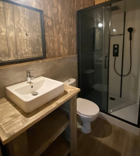 Moderne badkamer bij glamping met wastafel, toilet, glazen douche en rustieke houten wanden.
