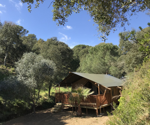 Tente safari avec sanitaires au Camping Les Lauriers Roses, entourée de verdure luxuriante en France.