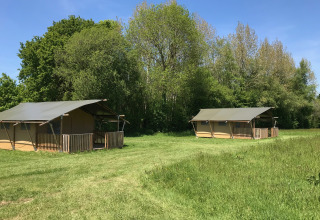 Tende safari al Camping O2 in Francia, situate su un prato verde con alberi sullo sfondo e cielo azzurro.